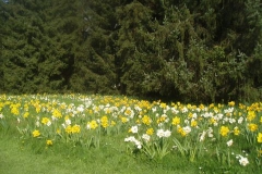 Arboretum  Volčji Potok