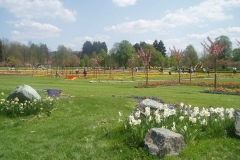 Arboretum  Volčji Potok