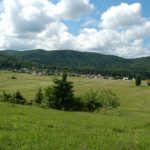 Babno Polje