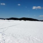 Babno Polje