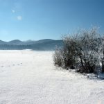 Babno Polje
