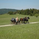 Babno Polje