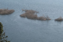 cerknisko-jezero-03