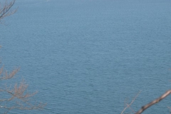 cerknisko-jezero-05