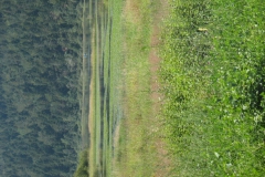 cerknisko-jezero-18
