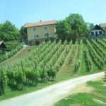 Bela krajina