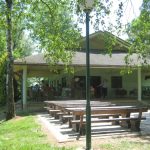 Kolpa
