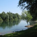 Kolpa