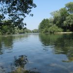 Kolpa