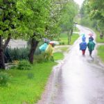 Po poteh izseljenca Franka Trohe Rihtarjevega