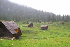 Dedno polje 1540 m