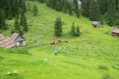 Planina pri jezeru 1453 m