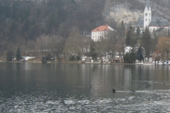 Bled