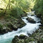 soteska Vintgar - Radovna