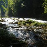 Soteska Vintgar - Radovna