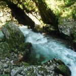 soteska Vintgar - Radovna