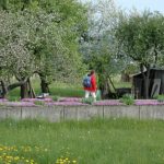 Babno Polje