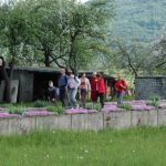Babno Polje