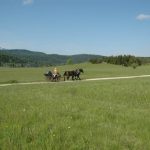 Babno Polje