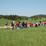 Babno Polje