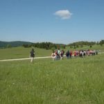 Babno Polje