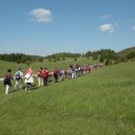 Babno Polje
