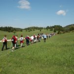 Babno Polje
