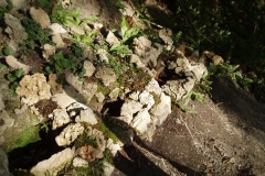 izlet na Stari grad nad Kamnikom