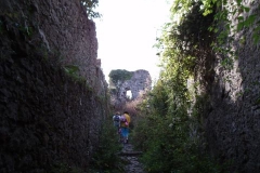 Stari grad nad Kamnikom