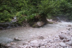 Izvir Kamniške Bistrice