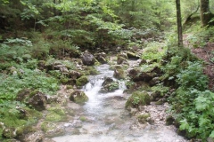 Izvir Kamniške Bistrice