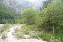Izvir Kamniške Bistrice
