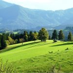 Koroški bregi