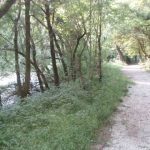 Kranj - kanjon reke Kokre
