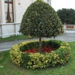 Grajski park