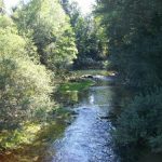 Močilnik