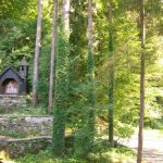 Močilnik