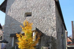 Škofja Loka