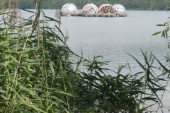 Velenjsko jezero