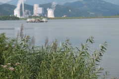 Velenjsko jezero