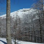 Snežnik