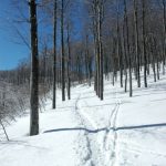 Snežnik