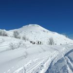 Snežnik