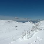 Snežnik