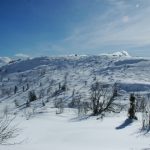 Snežnik