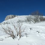 Snežnik