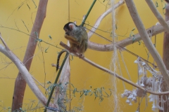 Zoo Ljubljana