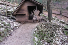 Zoo Ljubljana