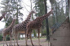 Zoo Ljubljana