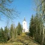 Lisna gora